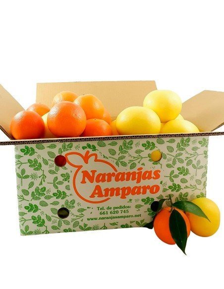 Gemischte Box Orangen und Zitronen