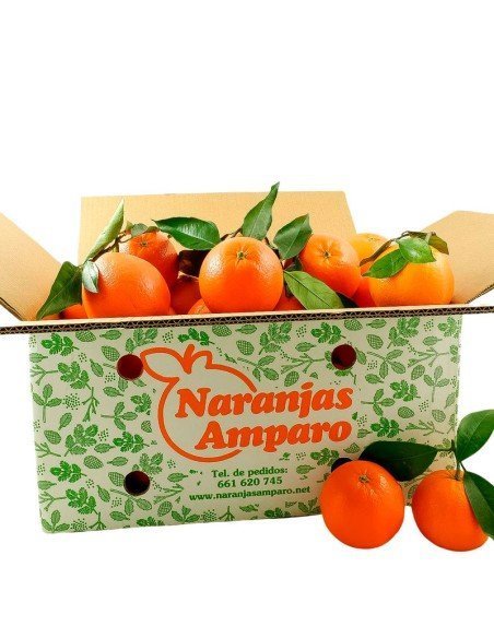 Frische Orangen 17 kg Kiste ★Jetzt im Angebot!★